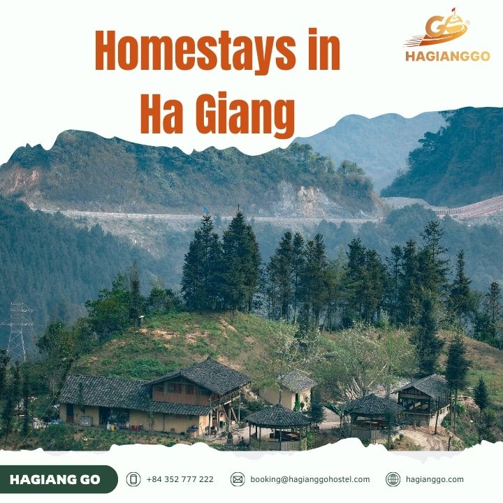 Top 10 Outstanding Local Homestays in Ha Giang: Experience the Authentic Highland Culture
